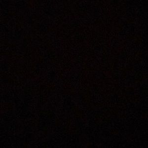 Meet your Posher, Ava